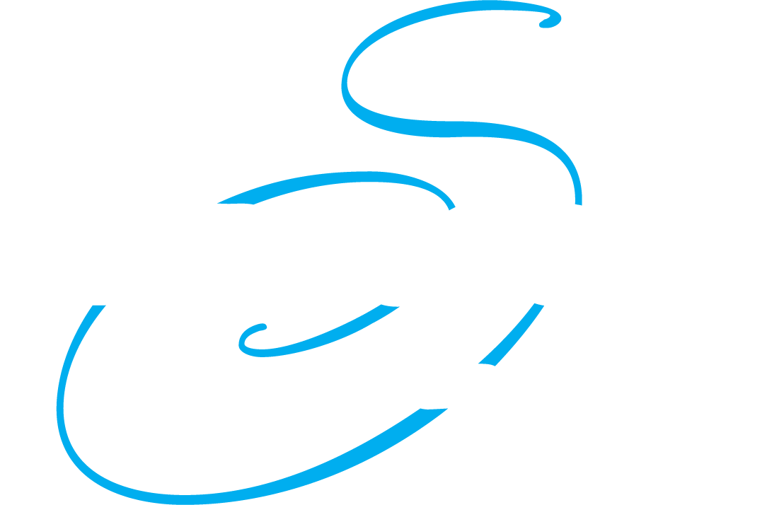 Hair Success Salon, Spa & MediSpa logo